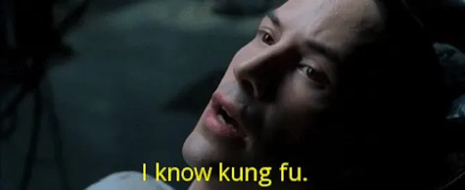 Neo from The Matrix: I know Kung Fu.